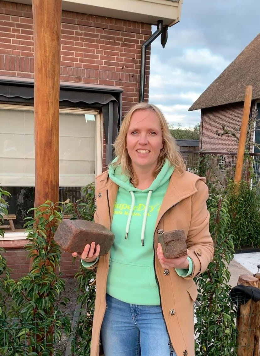 "Van versteende tuin naar een levendige, biodiverse buitenruimte met BEEtuindesign – tuinontwerp in Gorinchem, Giessenburg en Oud-Alblas."