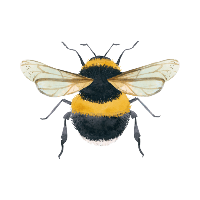 "Van versteende tuin naar een levendige, biodiverse buitenruimte met BEEtuindesign – tuinontwerp in Gorinchem, Giessenburg en Oud-Alblas."