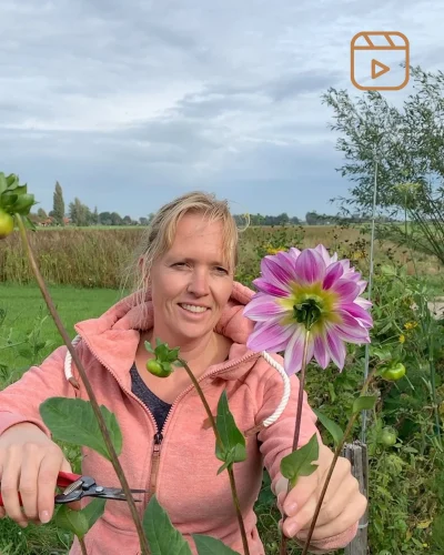 "Tuinontwerp op maat door BEEtuindesign in Gorinchem en omgeving. Meer groen, meer biodiversiteit, meer rust."